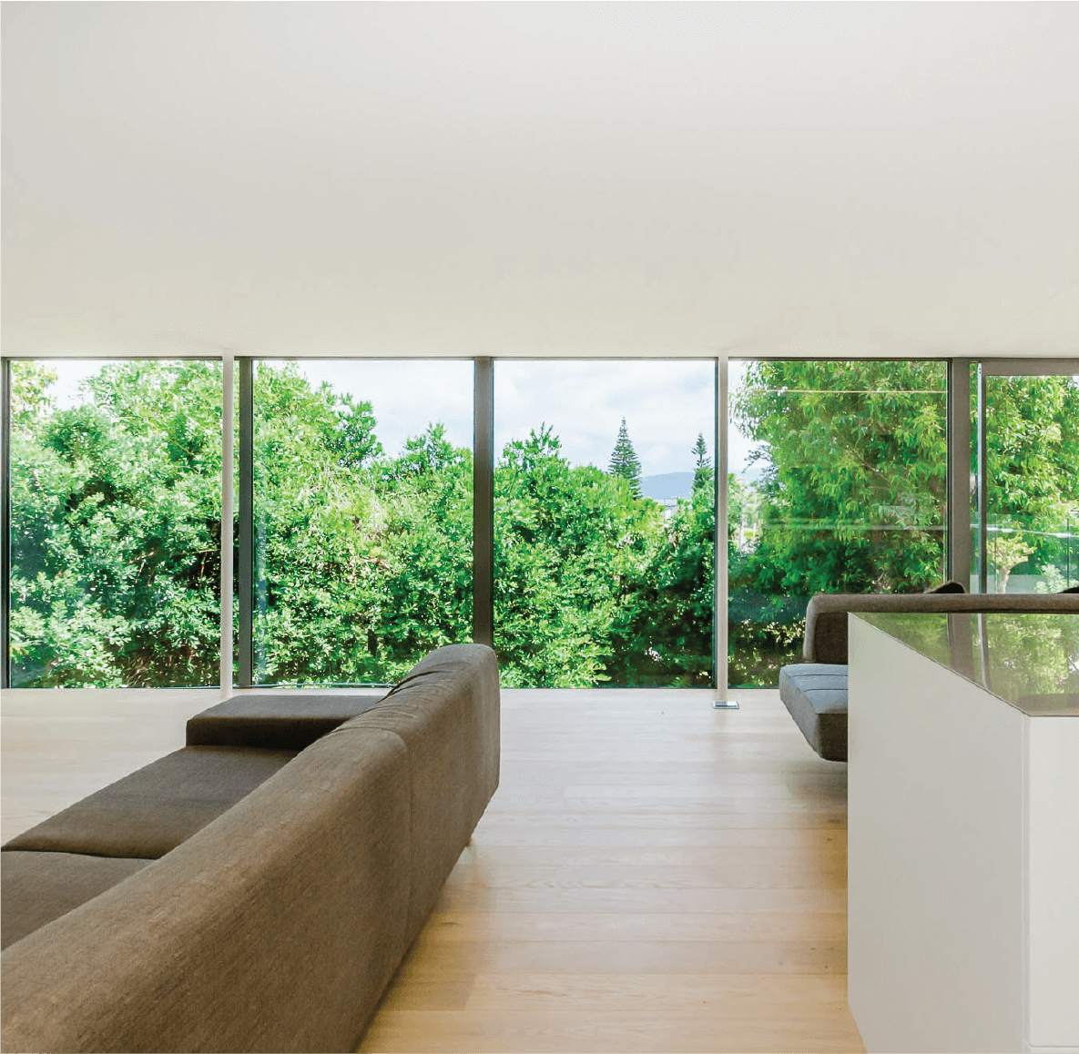 Tree House Paraparaumu - Forest setting modular home with floor-to-ceiling glass